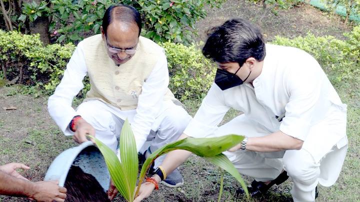 मुख्यमंत्री श्री चौहान ने केन्द्रीय मंत्री श्री सिंधिया के साथ नारियल का पौधा लगाया